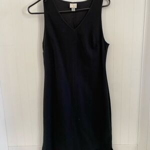 Sleeveless V-Neck Little Black Dress